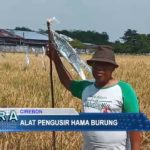 Alat Pengusir Hama Burung