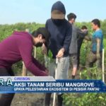 Aksi Tanam Seribu Mangrove