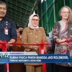 Rumah Pasca Panen Mangga Jadi Rolemodel