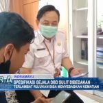 Spesifikasi Gejala DBD Sulit Dibedakan