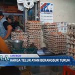 Harga Telur Ayam Berangsur Turun