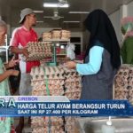 Harga Telur Ayam Berangsur Turun