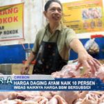 Harga Daging Ayam Naik 10 Persen