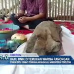 Batu Unik Ditemukan Warga Panongan