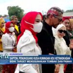 Sapton, Penunggang Kuda Kuningan Adu Ketangkasan