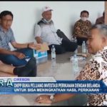 DKPP Buka Peluang Investasi Perikanan dengan Belanda