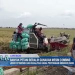 Banyak Petani Beralih Gunakan Mesin Combine