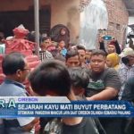 Sejarah Kayu Mati Buyut Perbatang