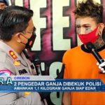 2 Pengedar Ganja Dibekuk Polisi