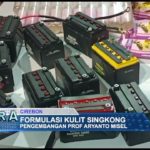 Formulasi Kulit Singkong