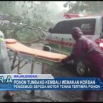 Pohon Tumbang Kembali Memakan Korban