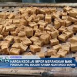 Harga Kedelai Impor Merangkak Naik