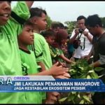 JMI Lakukan Penanaman Mangrove