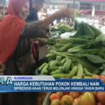 Harga Kebutuhan Pokok Kembali Naik