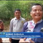 Mewujudkan Kawasan Hutan Hijau Dengan Penanaman Pohon