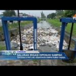 Saluran Irigasi Dipenuhi Sampah