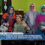 Puncak Hari Disabilitas Internasional