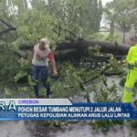 Pohon Besar Tumbang Menutupi 2 Jalur Jalan