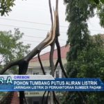 Pohon Tumbang Putus Aliran Listrik