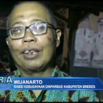 Lestarikan Wayang Kulit yang Hampir Punah