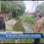 Saluran Irigasi di Brebes Banyak yang Dangkal