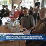Sinergi Pentahelix Bangun Kemandirian Pangan