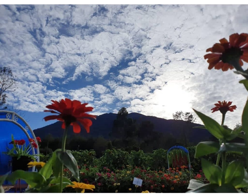 saung gunung bee park majalengka