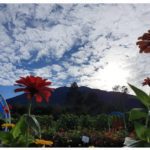 saung gunung bee park majalengka