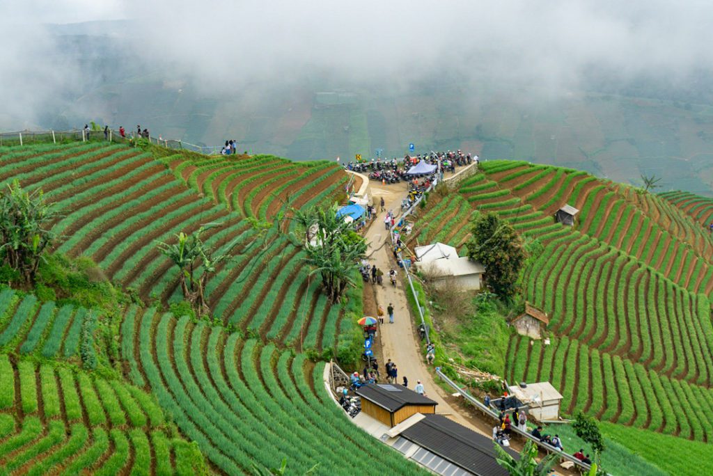 Terasering Panyaweuyan di Majalengka