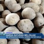 Harga Sayuran Melonjak