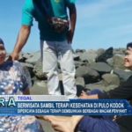 Berwisata Sambil Terapi Kesehatan Di Pulo Kodok