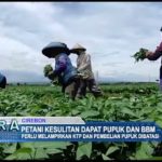 Petani Kesulitan Dapat Pupuk dan BBM