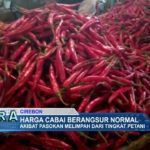 Harga Cabai Berangsur Normal