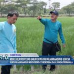 Menelusuri Penyebab Banjir di Wilayah Arjawinangun & Gegesik