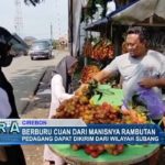 Berburu Cuan dari Manisnya Rambutan