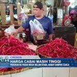 Harga Cabai Masih Tinggi