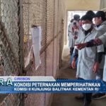 Kondisi Peternakan Memperihatinkan