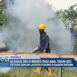 84 Kasus DBD Di Brebes Pada Awal Tahun 2023