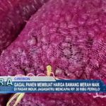 Gagal Panen Membuat Harga Bawang Merah Naik