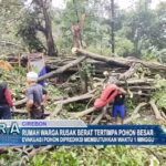 Rumah Warga Rusak Berat Tertimpa Pohon Besar