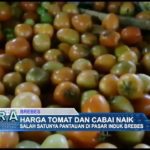 Harga Tomat dan Cabai Naik