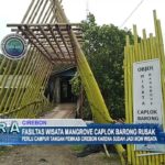 Fasilitas Wisata Mangrove Caplok Barong Rusak