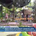 Wisata Kebun Jati Alternatif Liburan Keluarga