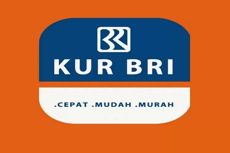 Angsuran KUR BRI