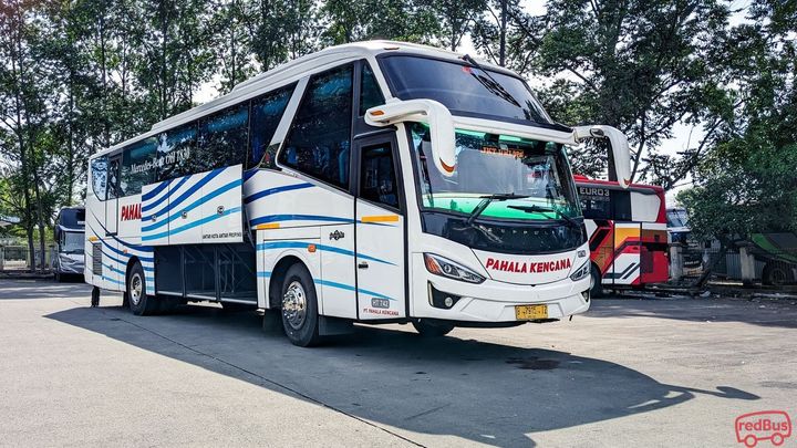 Inilah Daftar Rekomendasi Bus Cirebon - Yogyakarta 2023