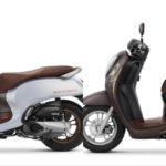 Honda Scoopy Prestige