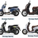 Honda Scoopy Stylish