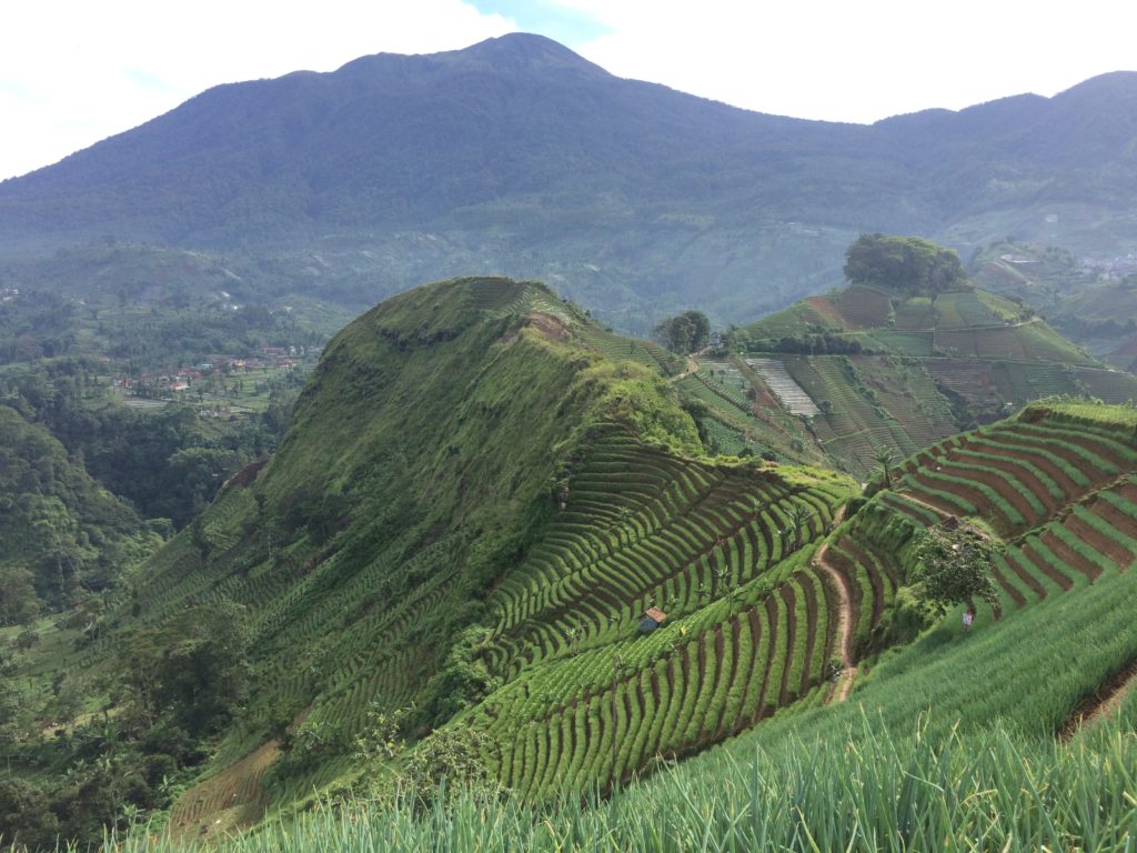 Foto: Wikipedia/https://id.wikipedia.org/wiki/Kabupaten_Majalengka