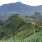 Foto: Wikipedia/https://id.wikipedia.org/wiki/Kabupaten_Majalengka