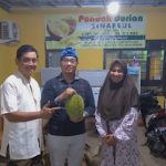 5 Fakta Durian Sinapeul Majalengka yang Belum Anda Ketahui!